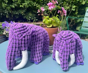 Untitled design - 2025-07-30T151727.0003